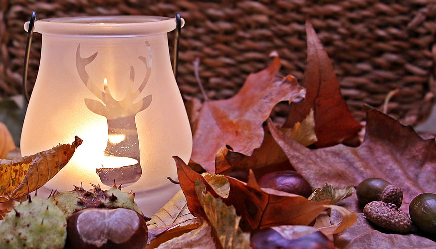 Autumn still life with deer lantern, leaves, and acorns