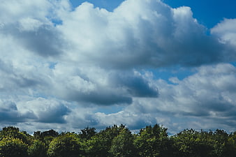 Dramatic Clouds Over Green Forest Canopy