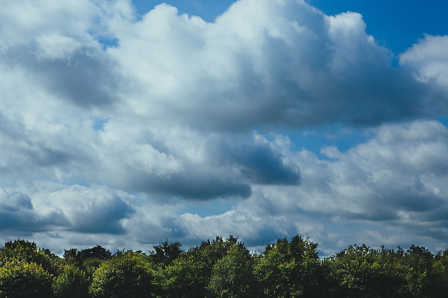 Dramatic Clouds Over Green Forest Canopy