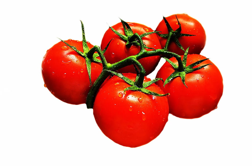 Fresh Red Tomatoes on Vine with Water Droplets