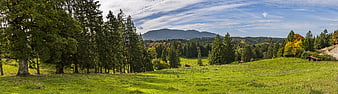 Panoramic Alpine Landscape With Green Pastures And Distant Mountains