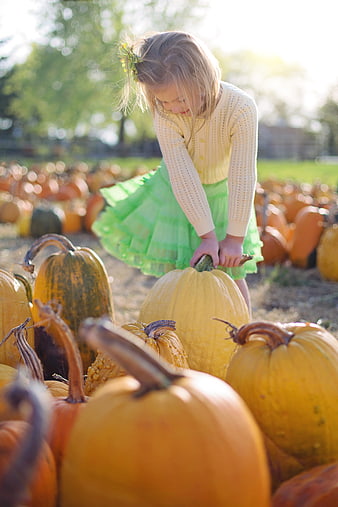 Little Girl Picking Pumpkin at Autumn Harvest Patch