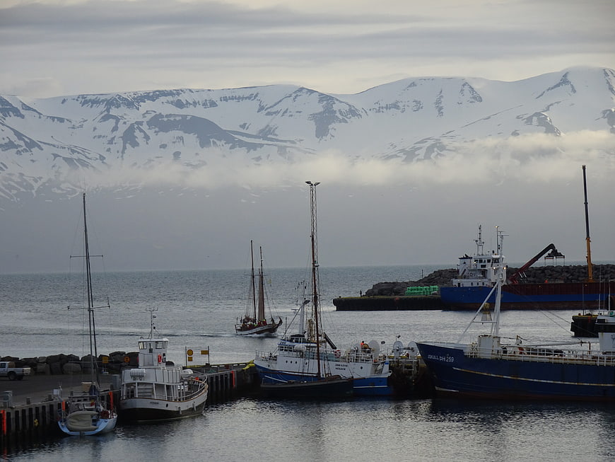 Fishing boats docked in Icelandic harbor with snowy mountains