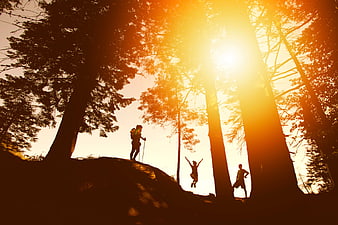 Silhouettes of Hikers Jumping in Forest at Sunset