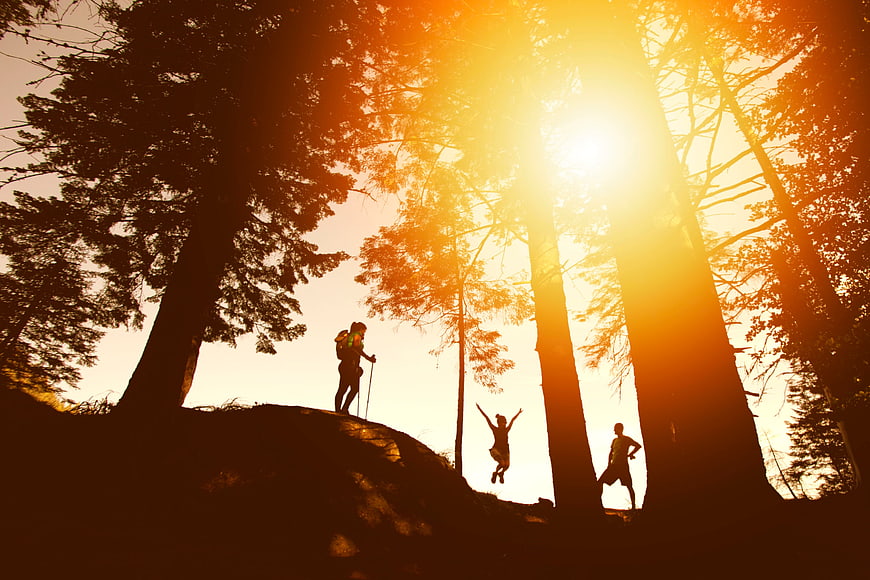 Silhouettes of Hikers Jumping in Forest at Sunset