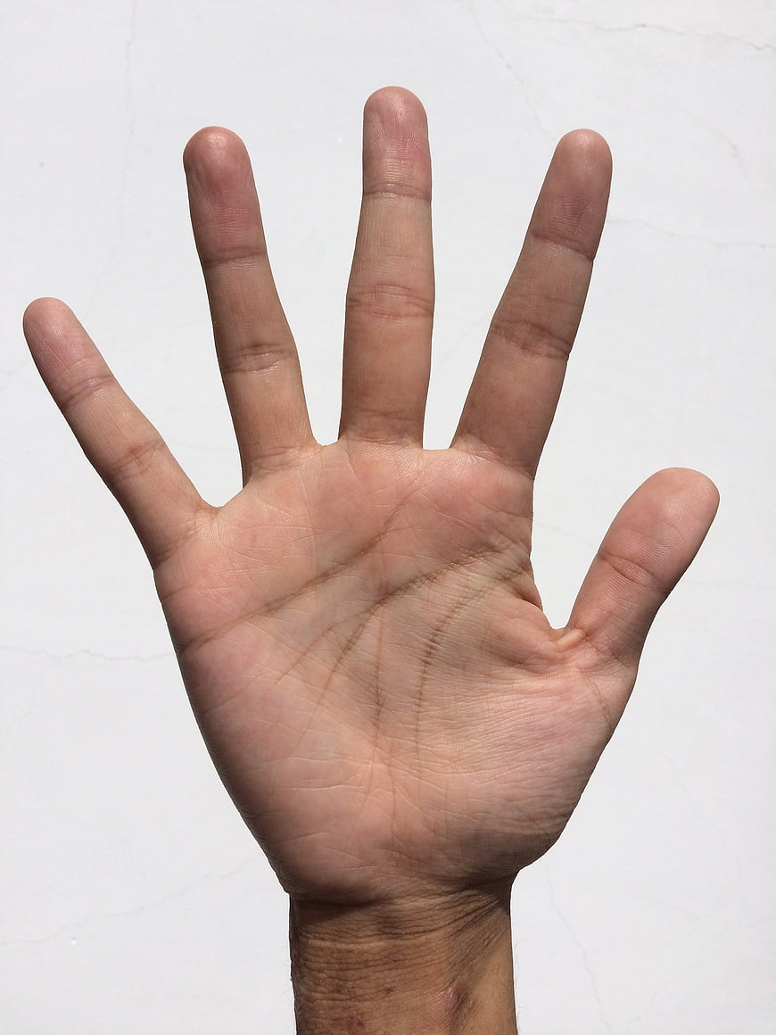 Close-up of open human palm with five fingers on white background