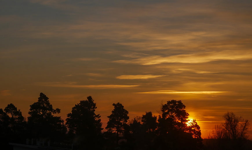 Golden sunset sky with tree silhouettes and clouds