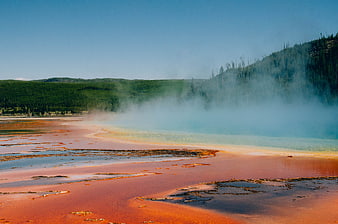 Vibrant Geothermal Hot Spring with Steam and Forest Background