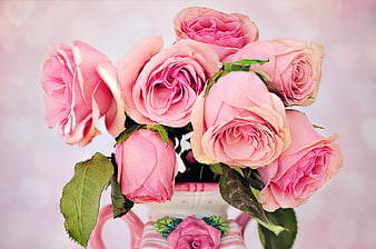 Pink Roses in Decorative Ceramic Vase