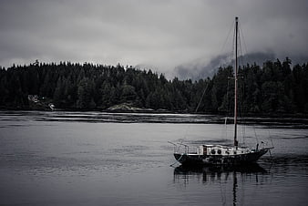 Solitary sailboat anchored in misty fjord with forested mountains