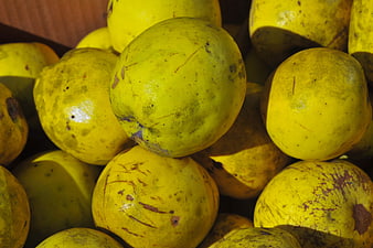 Close-up of fresh yellow guavas in a pile