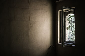 Dark abandoned room with open window and ivy