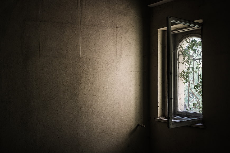 Dark abandoned room with open window and ivy