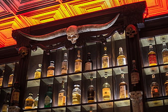 Whiskey bottles on shelves with skull and horns decor