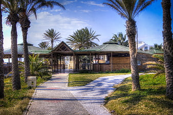 Tropical Resort Pathway with Palm Trees and Wooden Cabanas