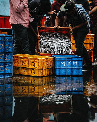 Fishermen sorting fresh fish in crates at wet market