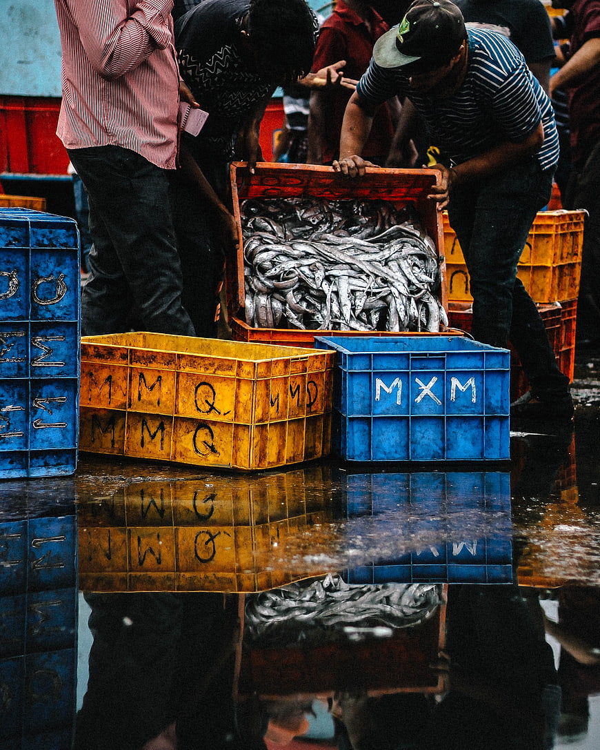 Fishermen sorting fresh fish in crates at wet market