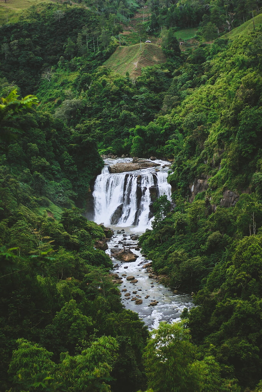 Majestic Waterfall Cascading Through Lush Tropical Jungle