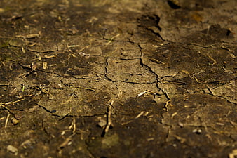 Close-up of cracked dry earth soil texture