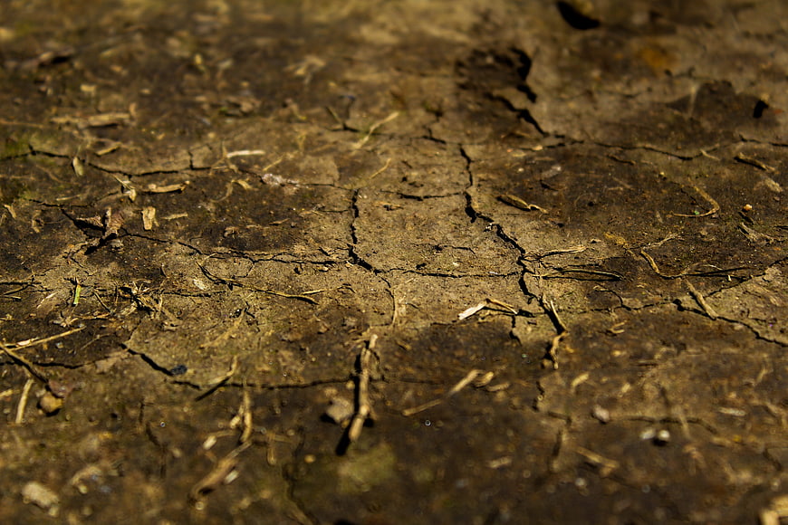 Close-up of cracked dry earth soil texture