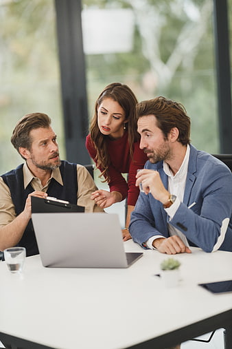 Business team meeting discussing work on laptop