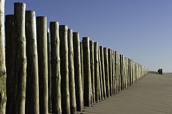 Wooden groynes on sandy beach under blue sky