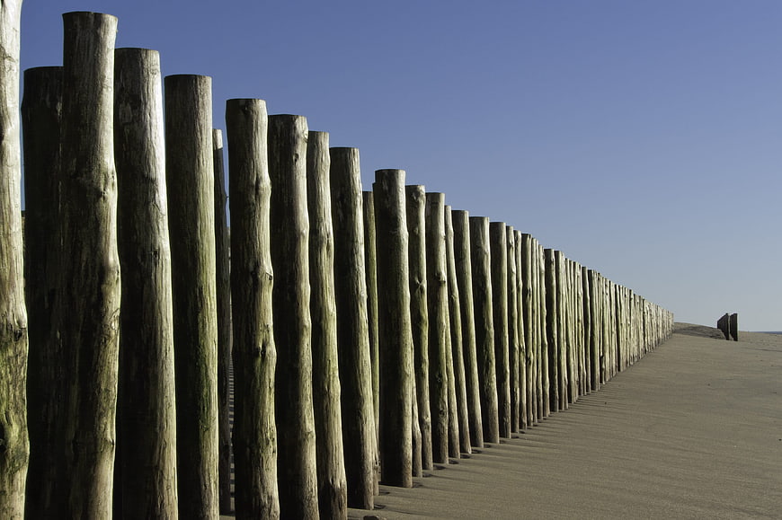 Wooden groynes on sandy beach under blue sky
