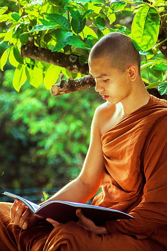 Young Buddhist Monk Reading Book Under Tree