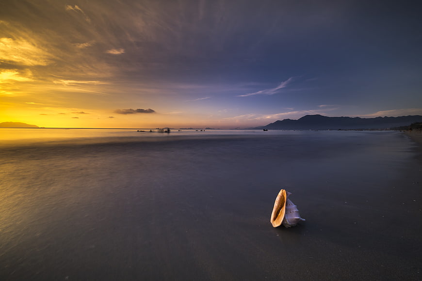 Seashell on wet sand beach at sunset with long exposure