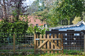 Wooden garden gate with chicken coop and trees