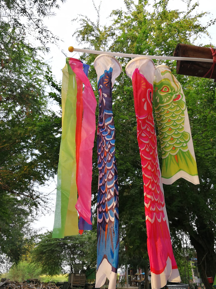 Colorful Thai Fish Wind Socks Hanging Outdoors