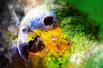 Vibrant Watercolor Parrot Head Close Up