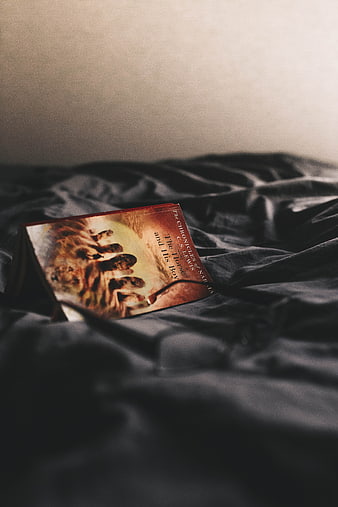 Book on dark bed sheets with warm lighting
