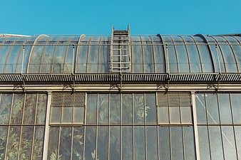 Industrial greenhouse roof with metal ladder and blue sky