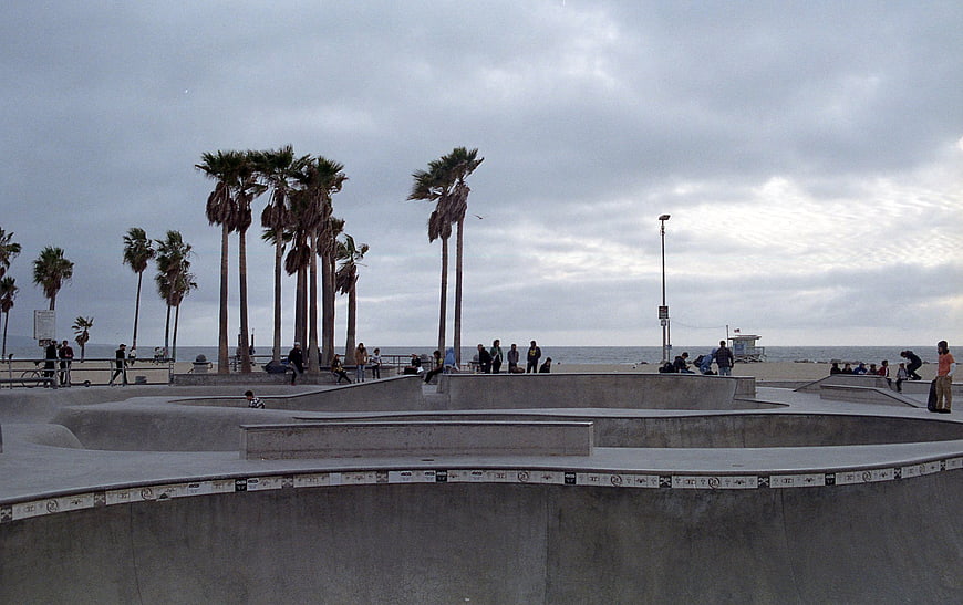 Venice Beach Skatepark with Palm Trees and Ocean View
