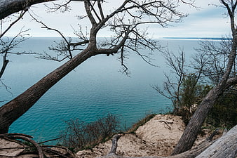 Bare trees framing turquoise ocean view from sandy cliff