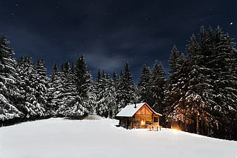 Cozy wooden cabin in snowy forest under starry night sky