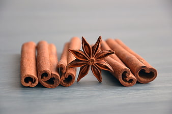 Cinnamon Sticks and Star Anise on Gray Surface