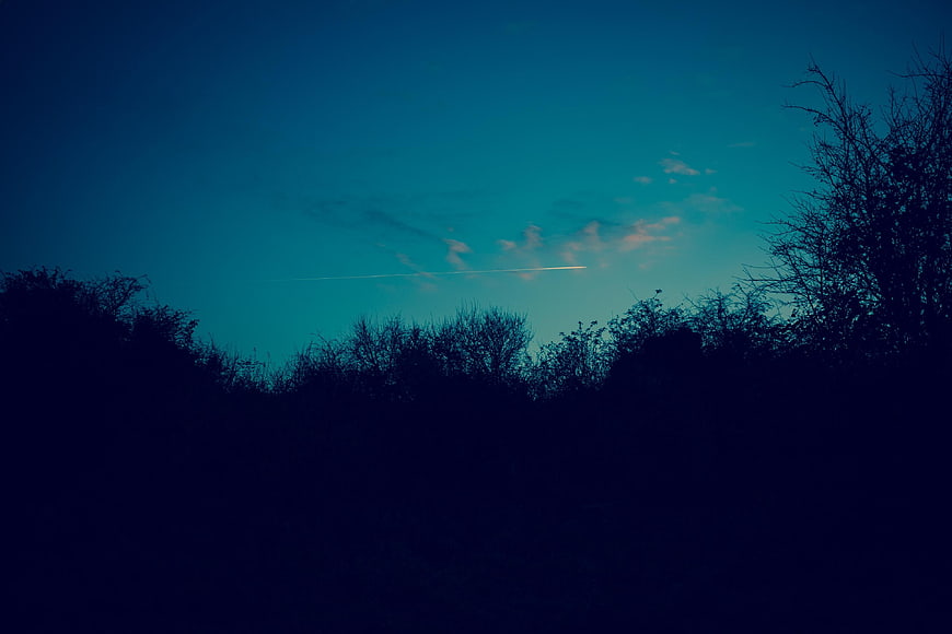 Silhouette of Trees Against Blue Twilight Sky with Contrail