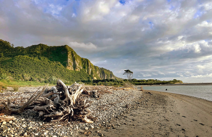 Dramatic coastal landscape with driftwood and green cliffs