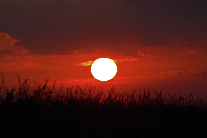 Vibrant red sunset over silhouetted grass field