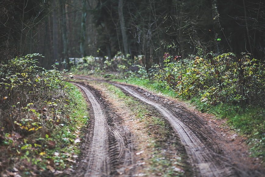 Muddy forest road with tire tracks in autumn woods