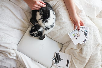 Woman petting black and white rabbit on bed with laptop and photos