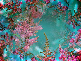 Abstract Pink Flowers on Turquoise Background