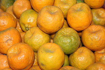 Close-up of fresh organic tangerines and mandarins