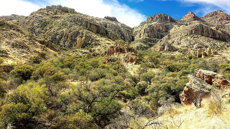 Rugged Mountain Landscape with Green Trees and Blue Sky