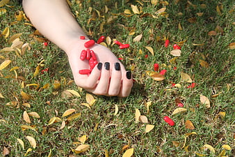 Hand holding red pills on grass with autumn leaves