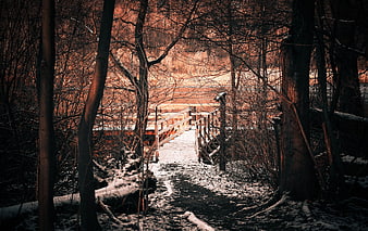 Snowy Forest Path Leading to Wooden Bridge at Sunset