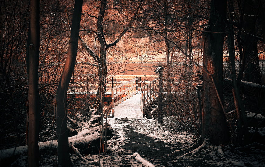 Snowy Forest Path Leading to Wooden Bridge at Sunset