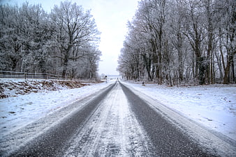 Snowy Winter Road Through Frosty Forest Landscape